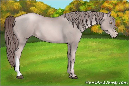 Horse Color:Platinum Liver Chestnut Pearl 