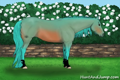 Horse Color:Void Watercolor Bay