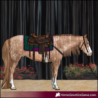 Horse Color:Gold Champagne Pearl Rabicano and Liver Chestnut Pearl Rabicano