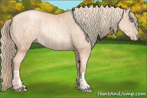Horse Color:Gold Champagne Pearl Rabicano and Gold Champagne Pearl Rabicano