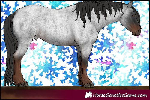 Horse Color:Liver Red Roan