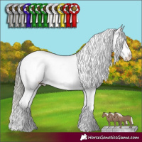 Horse Color:White Spotted Liver Chestnut Mushroom Appaloosa 
