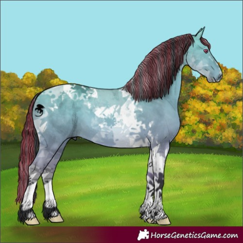 Horse Color:Painted Bay Chinchilla Dun Tobiano