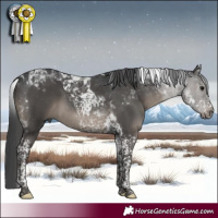 Horse Color:Black Tobiano 