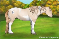 Horse Color:Gold Champagne Pearl Tobiano 