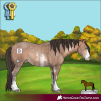 Horse Color:Sable Champagne Sabino Rabicano  and Amber Champagne Sabino Rabicano 