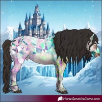 Horse Color:Bay Ice Roan 
