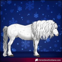 Horse Color:Black Ice Sabino