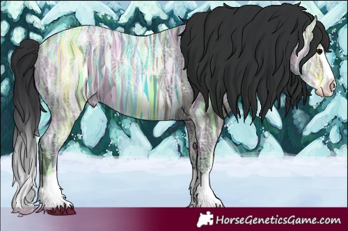 Horse Color:Grullo Ice Splash 