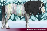 Horse Color:Grullo Ice Splash