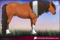 Horse Color:Bay Tobiano 