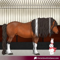 Horse Color:Bay Tobiano 