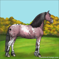 Horse Color:Grullo Chinchilla Tobiano Brindle 