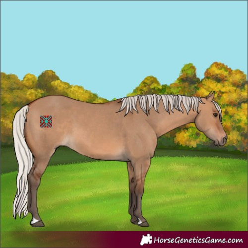 Horse Color:Silver Brown Dun 