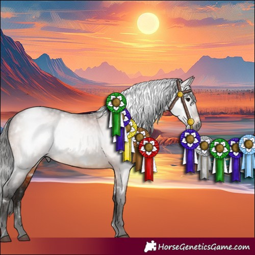 Horse Color:Gray White Spotted Bay Sabino Rabicano