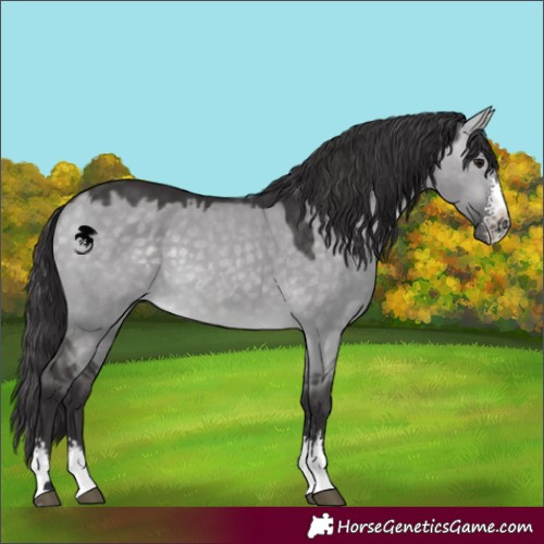 Horse Color:Platinum Buckskin Dun Sabino 