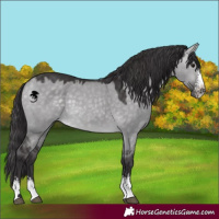 Horse Color:Platinum Buckskin Dun Sabino 