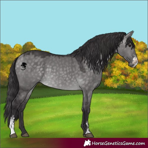 Horse Color:Platinum Buckskin Dun Sabino 