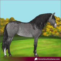 Horse Color:Platinum Buckskin Dun Sabino 
