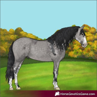 Horse Color:Platinum Brown Dun Sabino  and Platinum Brown Dun Sabino 
