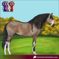 Horse Color:Liver Red Dun and Brown Dun Sabino