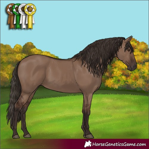 Horse Color:Liver Red Dun
