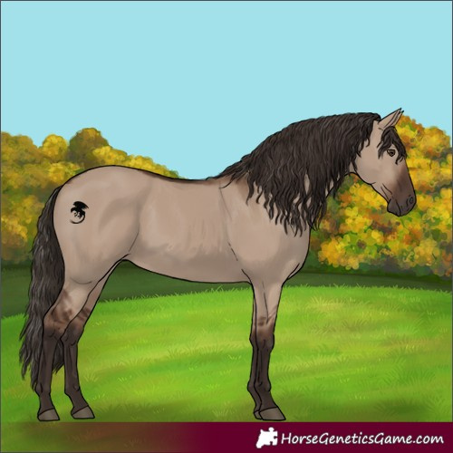 Horse Color:Liver Red Dun 