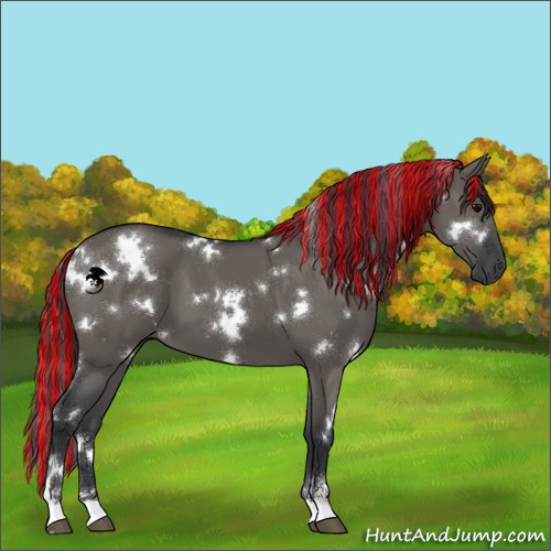 Horse Color:Painted White Spotted Grullo Sabino 