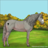 Horse Color:Watercolor Chestnut 