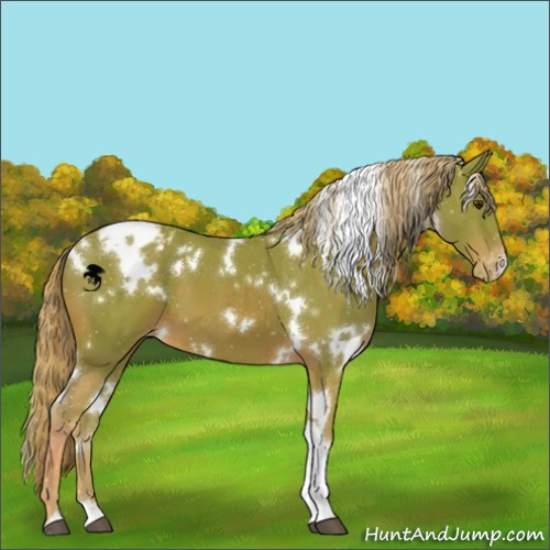 Horse Color:Watercolor White Spotted Chestnut Varnish