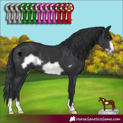Horse Color:Black Frame