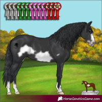 Horse Color:Black Frame 