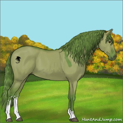 Horse Color:Watercolor Liver Red Dun Sabino 