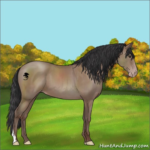 Horse Color:Classic Champagne