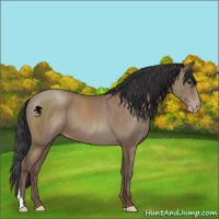 Horse Color:Classic Champagne 
