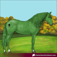 Horse Color:Watercolor Black 