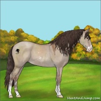 Horse Color:Classic Champagne Dun Sabino 