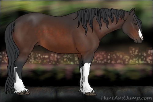 Horse Color:Brown 