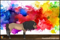 Horse Color:Bay Dun Rabicano 