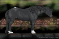 Horse Color:Black Tobiano Varnish