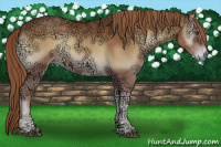 Horse Color:Red Onyx Ice