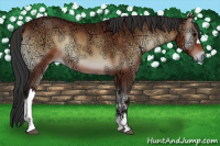 Horse Color:Bay Ice Onyx 