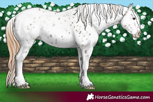 Horse Color:Red Onyx Ice Pearl Tobiano Leopard 