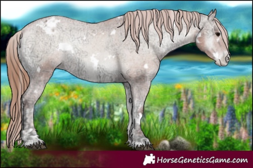 Horse Color:White Spotted Blue Onyx Ice Pearl Appaloosa 