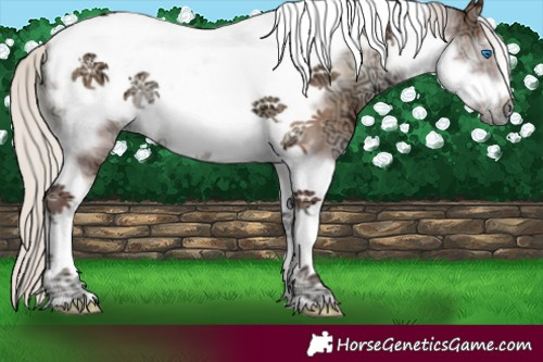 Horse Color:Silver Blue Onyx Ice Tobiano Frame 