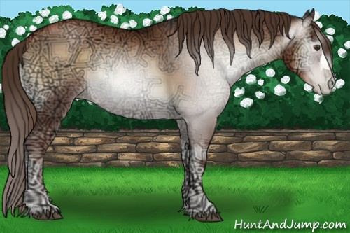 Horse Color:Gray Liver Red Onyx Ice Pearl 