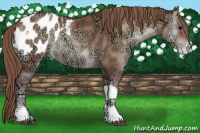 Horse Color:Blue Onyx Ice Pearl Tobiano Blanket Rabicano 