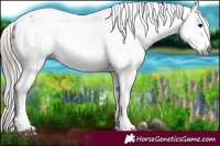 Horse Color:Gray Blue Onyx Ice Sabino Varnish Rabicano 