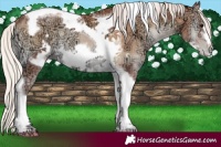 Horse Color:Silver Blue Onyx Ice Pearl Tobiano Frame 