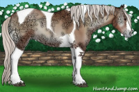 Horse Color:Silver Blue Onyx Ice Pearl Tobiano Varnish 
